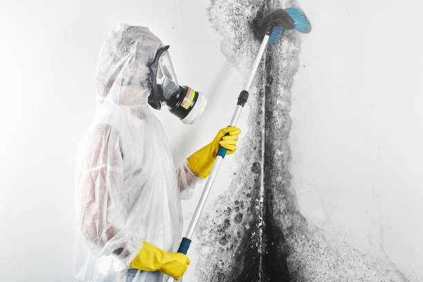 Best Indoor Air Quality Assessment  in Quinnipiac University, CT