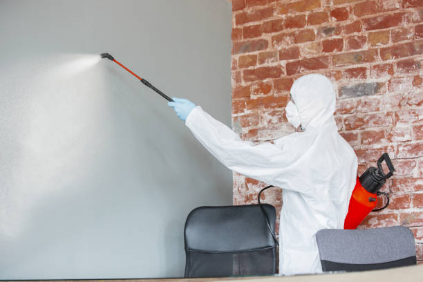 Best Mold Removal for HVAC Installations  in Quinnipiac University, CT