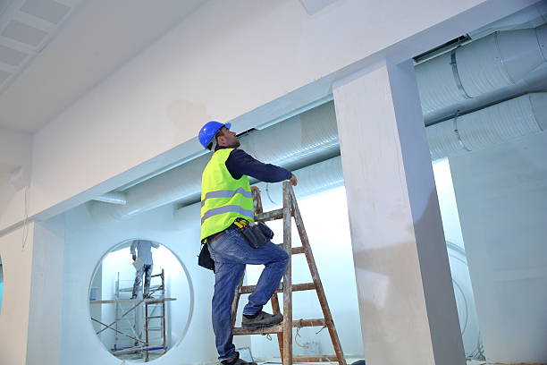  Quinnipiac University, CT Mold Removal Pros