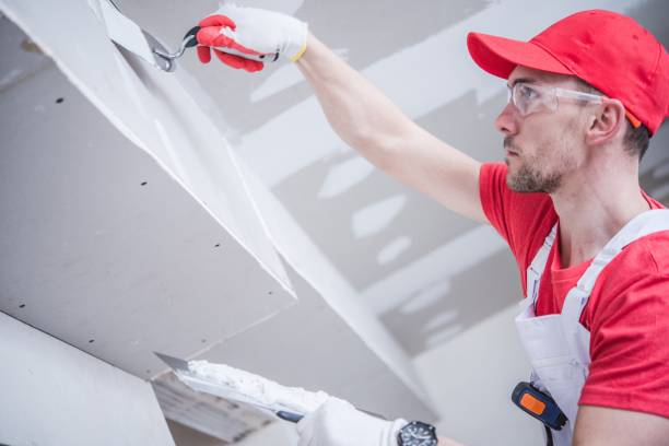 Professional Mold Removal in Quinnipiac University, CT