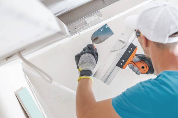 Best Mold Documentation for Insurance Claims  in Quinnipiac University, CT